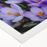 Art deco poster depicting a stylized spring scene in pastel colors on rolled canvas, suitable for dining room decor.