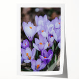 Spring-themed floral art on rolled canvas featuring soft pastel shades, ideal for dining room wall decor.