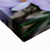 Large art of a spring landscape on stretched canvas, featuring black and white tones, ideal for bedroom wall decor.