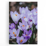 Large black and white stretched canvas featuring a minimalist spring landscape, ideal for kitchen wall art.