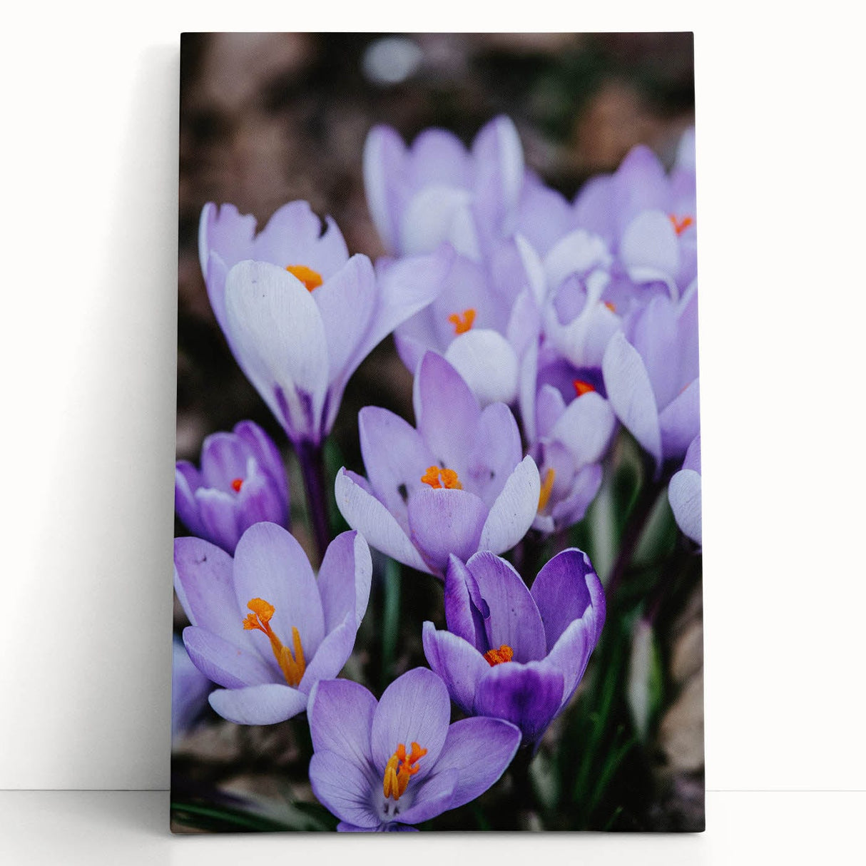 Large black and white stretched canvas of a spring scene, ideal for kitchen wall art or bedroom ambiance.