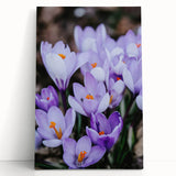 Large black and white stretched canvas of a spring scene, ideal for kitchen wall art or bedroom ambiance.