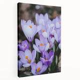 Spring-themed large art on stretched canvas with green and pink color palette, ideal for kitchen wall art.