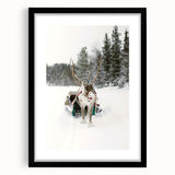 Extra large abstract art print featuring textured swirls in vibrant winter hues on a framed black canvas.