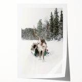 Winter-themed floral art on rolled print, showcasing muted blue and white tones, ideal for art wall dining room.