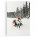 Winter tree landscape in black and white on large stretched canvas, ideal for kitchen wall art.