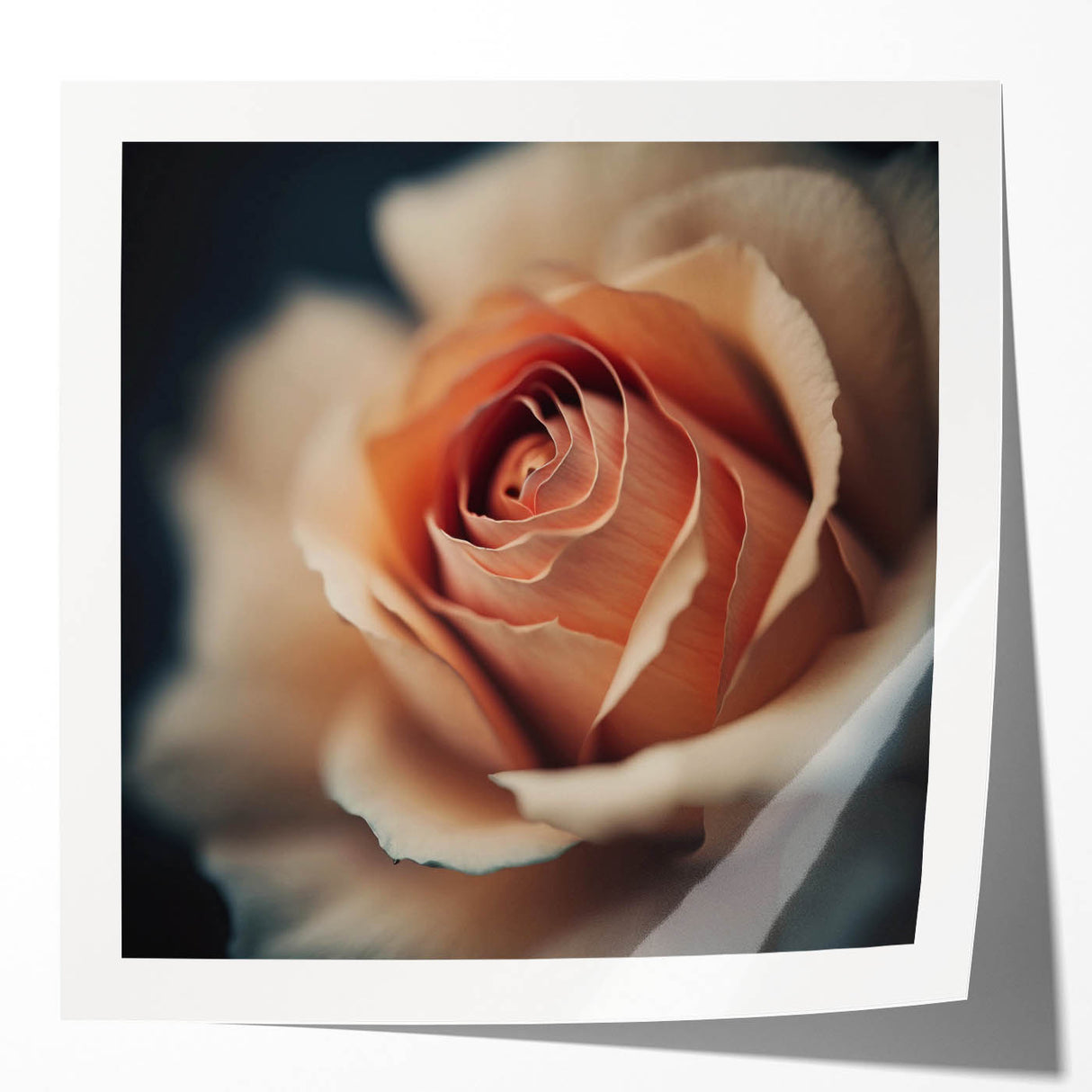 Abstract floral wall art print showcasing vibrant colors and intricate designs, displayed in a glossy finish, perfect for modern home decor enhancement.