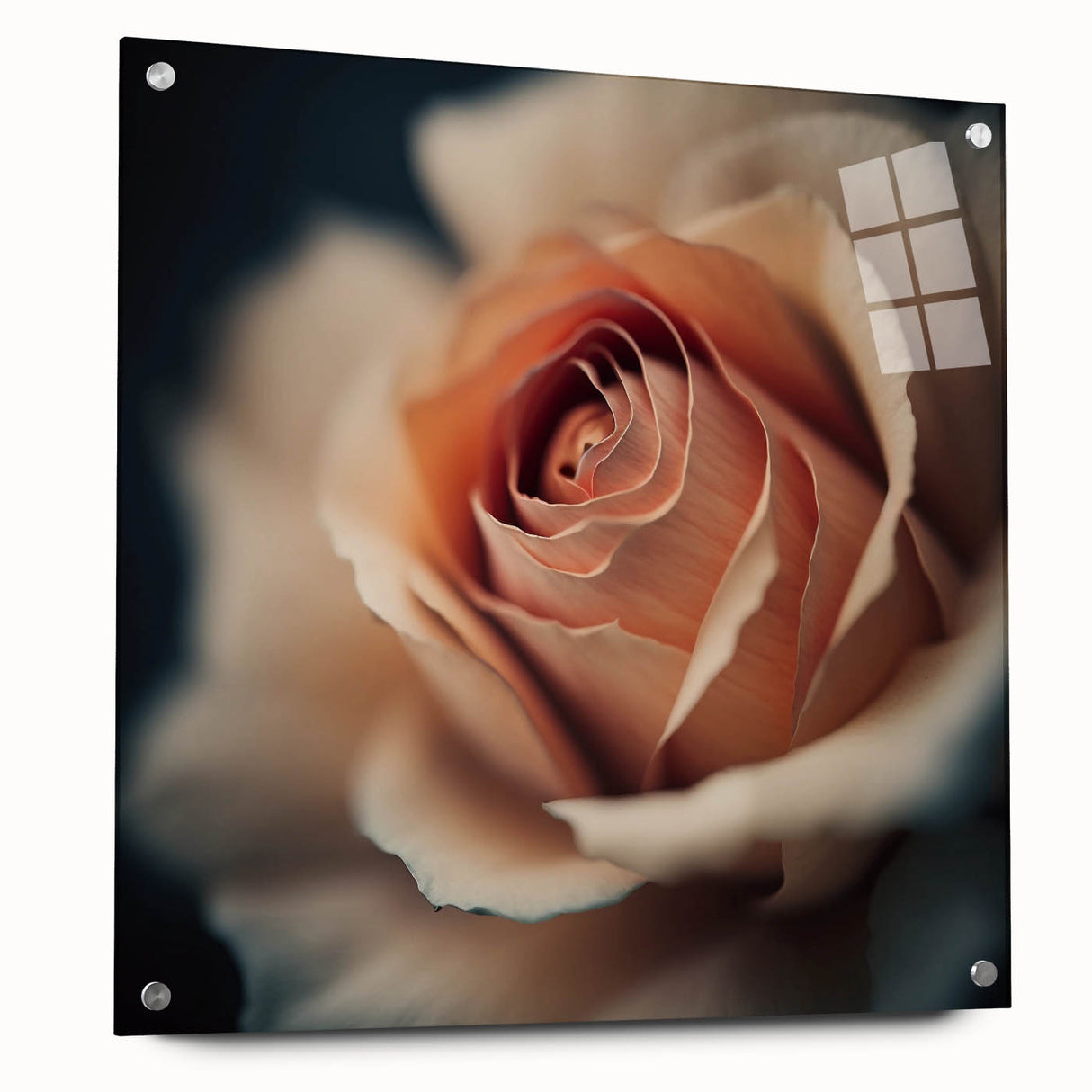Abstract floral wall art design displayed in acrylic glass, showcasing vibrant colors and intricate patterns, mounted with decorative pins for a modern aesthetic.