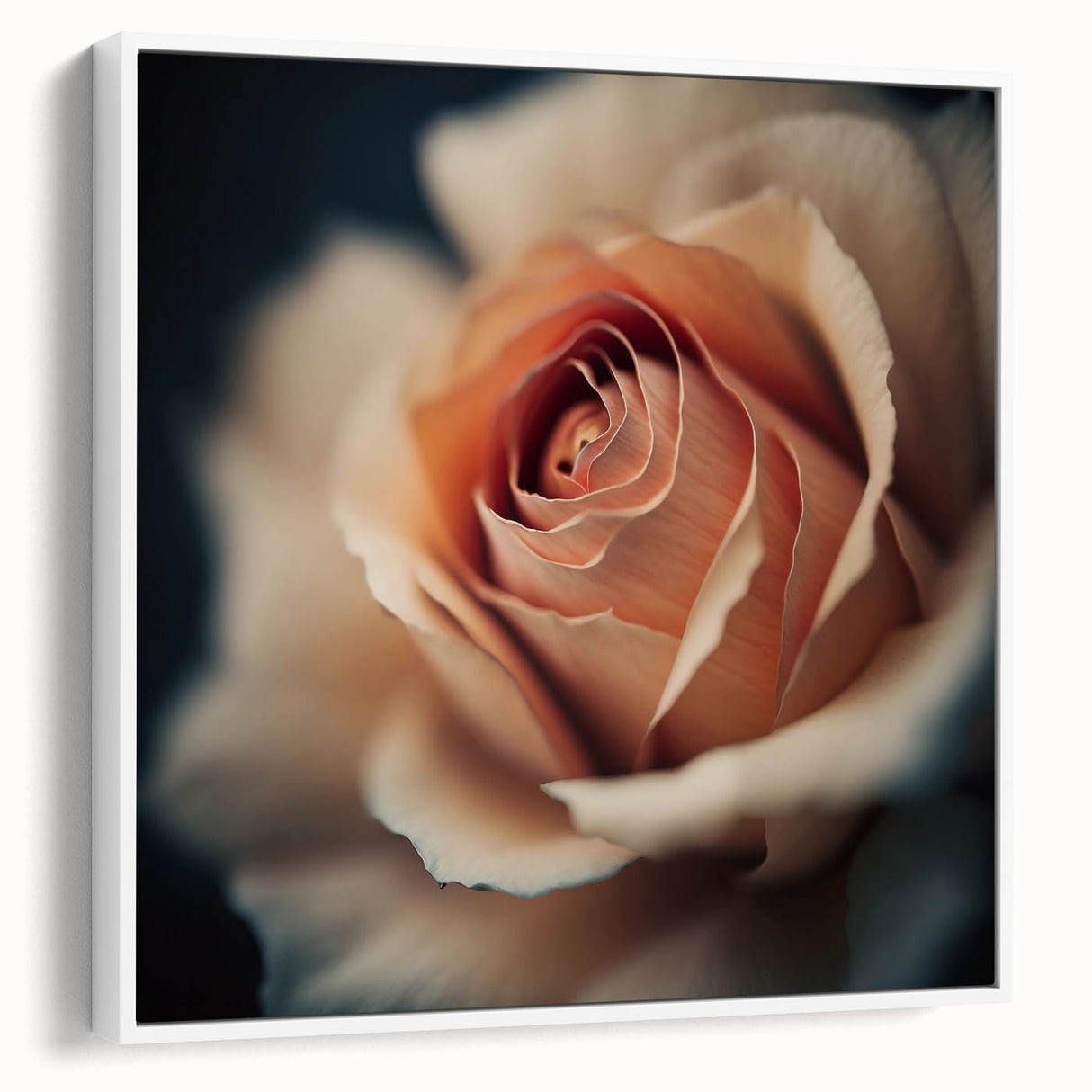 Framed canvas art showcasing vibrant abstract floral designs in a modern white frame, ideal for enhancing home decor with a touch of elegance and color.