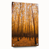 Large abstract wall art on acrylic glass featuring warm fall colors, perfect for bedroom or dining room decor.