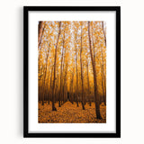 Abstract art print depicting vibrant autumn hues on a textured canvas, framed in black.