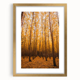 Extra large abstract art print in textured style, featuring autumnal hues on a gold-framed canvas.
