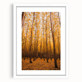 Abstract art print featuring warm autumnal hues on a white framed canvas, suitable for bedroom or dining room decor.