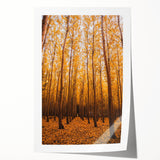Extra large rolled print of a fall-themed floral design in warm orange and brown tones, ideal for dining room wall art.