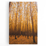 Large black and white abstract art on stretched canvas, featuring swirling patterns, suitable for kitchen wall decor.