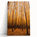 Large black and white stretched canvas featuring a minimalist fall tree design.