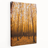 Large canvas print of a fall landscape with warm orange and yellow hues, suitable for kitchen wall art.