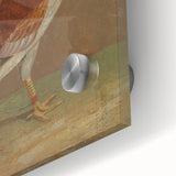 Romantic Era Art: "Pale-Breasted Fighting Cock" by John F. Herring