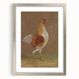 Romantic Era Art: "Pale-Breasted Fighting Cock" by John F. Herring