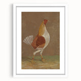 Romantic Era Art: "Pale-Breasted Fighting Cock" by John F. Herring