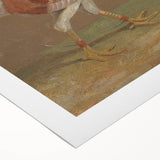 Romantic Era Art: "Pale-Breasted Fighting Cock" by John F. Herring