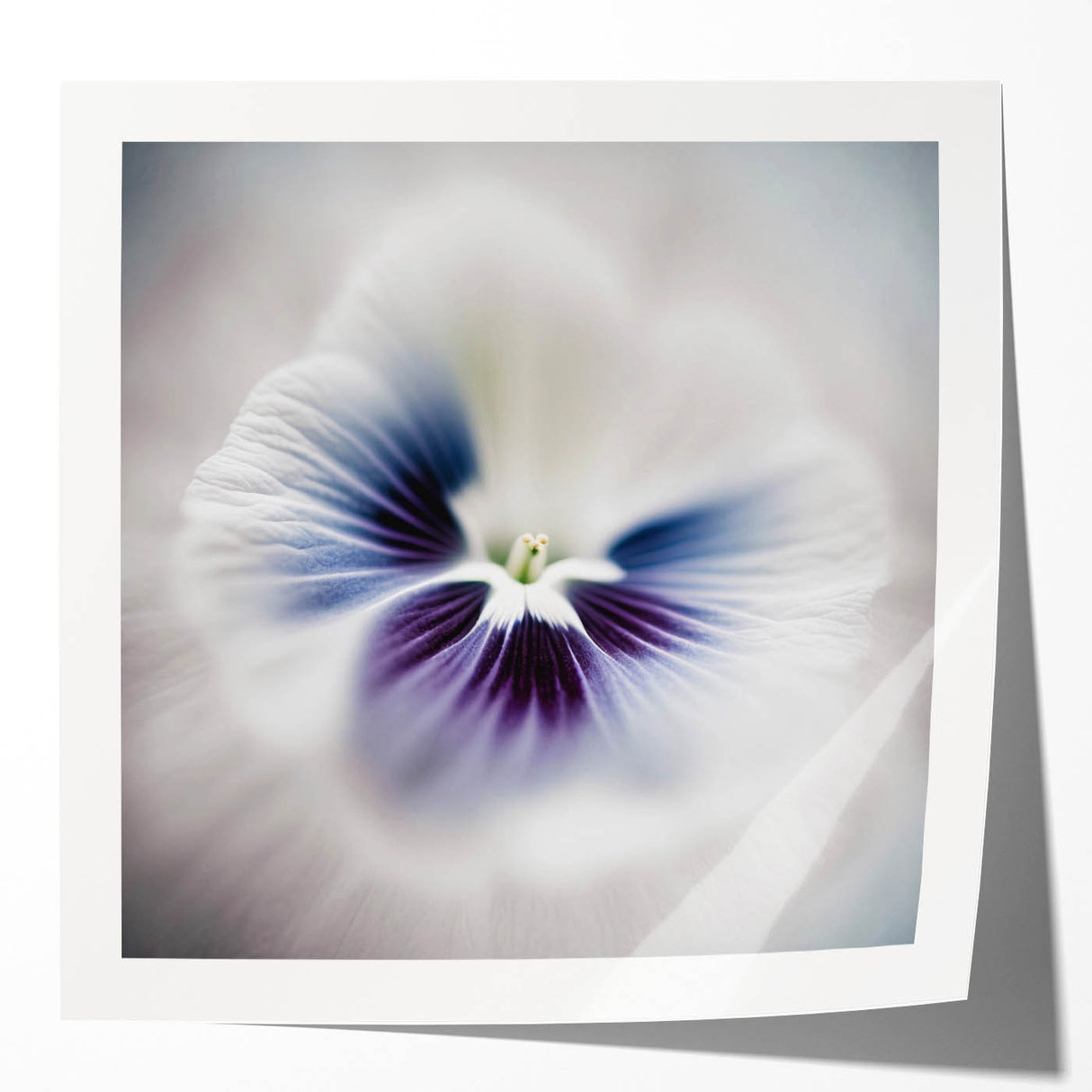 Abstract floral wall art print showcasing vibrant colors and intricate designs, featuring a glossy finish, perfect for modern home decor or artistic spaces.
