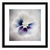 Framed abstract floral wall art in a sleek black frame, showcasing vibrant colors and intricate patterns. Ideal for modern home decor or office spaces.