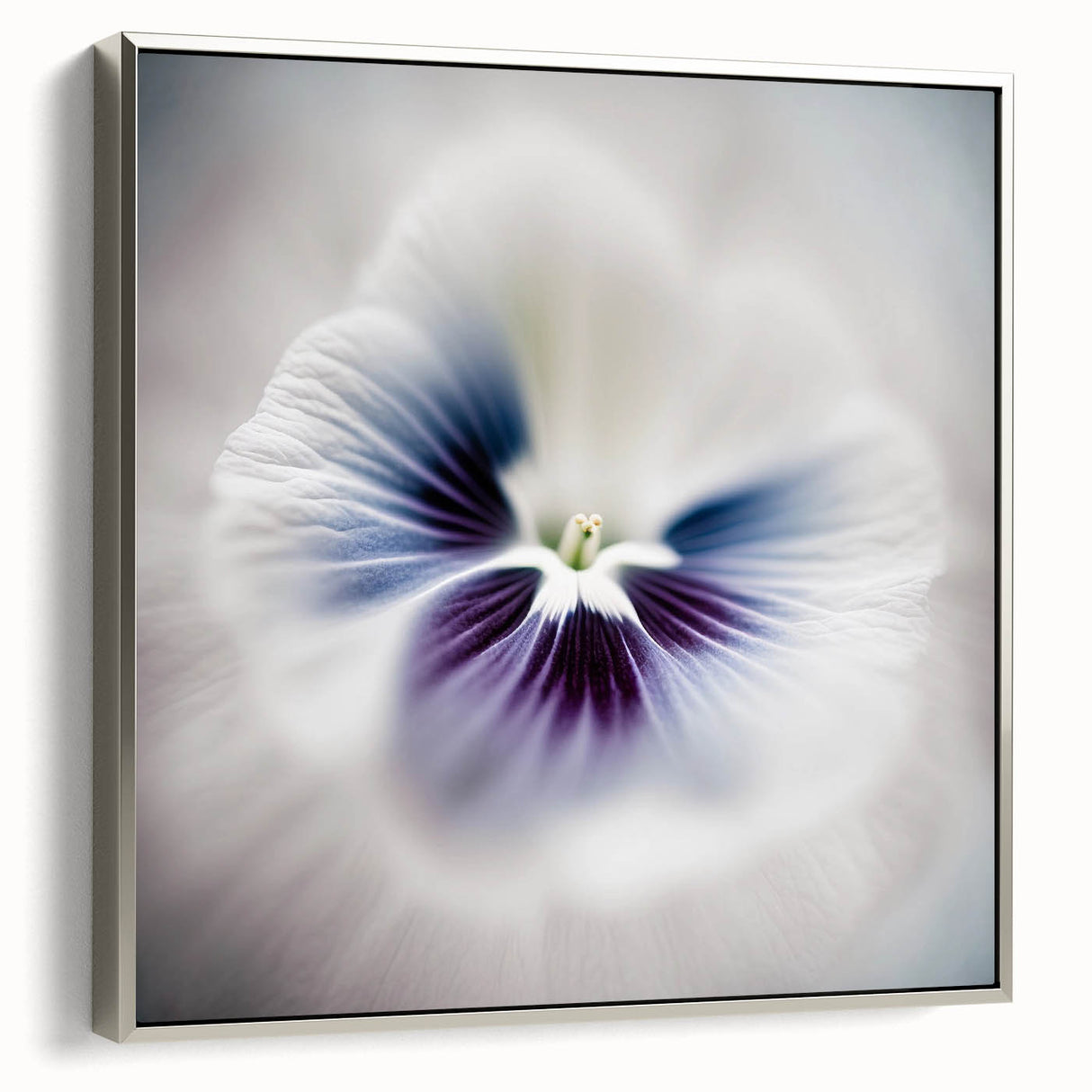 Framed canvas wall art showcasing an abstract floral design in vibrant colors, featuring a sleek silver frame that enhances the artwork's elegance. Perfect for modern home decor.