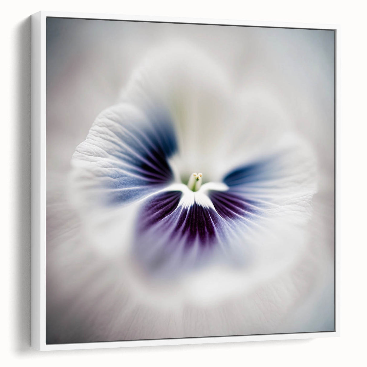 Framed abstract floral wall art in white with vibrant colors, showcasing a modern design. Perfect for enhancing living spaces and adding a touch of elegance.