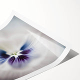 Abstract floral wall art print featuring vibrant colors and intricate designs, rolled and ready for framing, perfect for modern home decor.