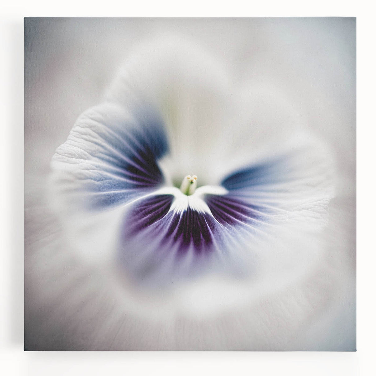 Vibrant abstract floral wall art on stretched canvas showcasing colorful petals in shades of pink, blue, and green, perfect for modern home decor.