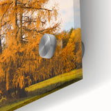 Large abstract wall art depicting autumnal trees in orange and red tones on acrylic glass, ideal for dining room art.