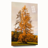 Large abstract wall art featuring swirling autumn hues on acrylic glass, ideal for bedroom or dining room decor.