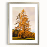 Textured abstract art print depicting autumnal hues on a silver-framed canvas, suitable for bedroom decor.