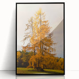 Large abstract wall art depicting autumnal trees in warm hues on a black framed acrylic, ideal for modern living room decor.