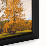 Extra large framed canvas featuring textured, colorful art of fall trees on a black background, ideal for living room decor.