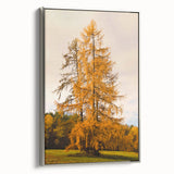 Framed canvas featuring a vintage-style landscape painting with autumnal trees and a muted color palette.