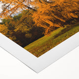 Art deco poster of an autumnal scene with orange and yellow leaves on a rolled canvas, suitable for dining room decor.