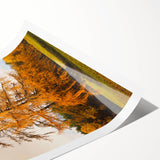 Extra large wall art featuring line art flowers in muted earth tones on a rolled canvas.