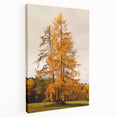 Autumn-themed large art on stretched canvas depicting a forest in fall colors, ideal for kitchen wall art.