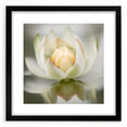 Abstract floral wall art framed in black, featuring vibrant colors and intricate designs, perfect for modern home decor. Ideal for adding a touch of elegance to any room.