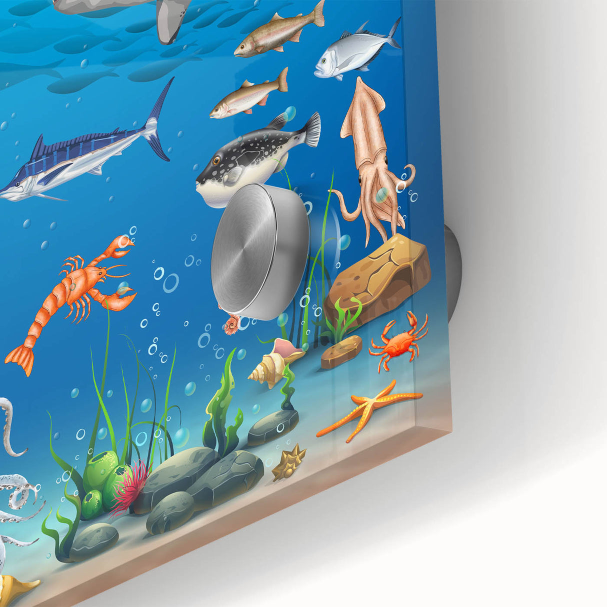 Underwater Marine Life Educational Wall Art - Kids' Learning Poster
