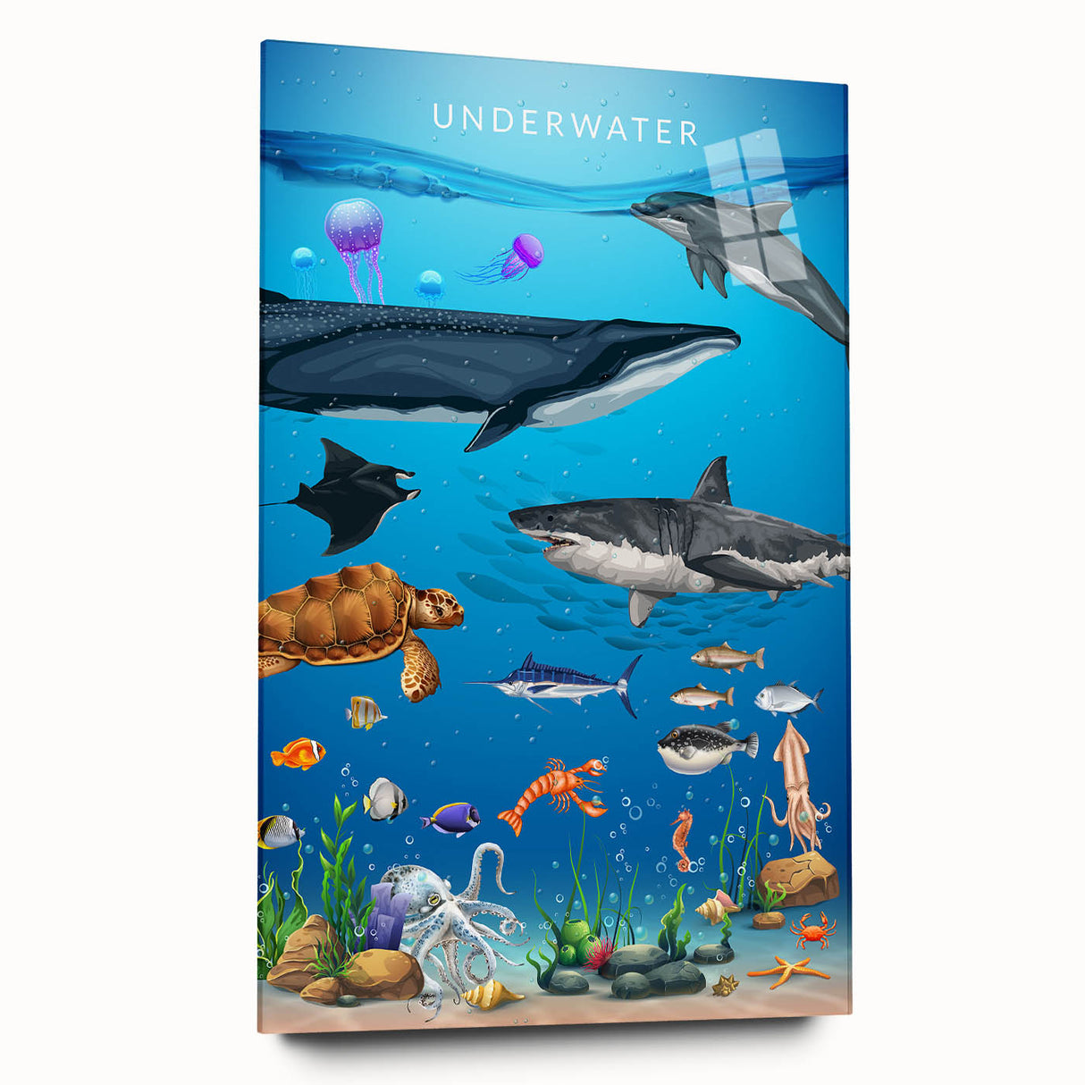 Underwater Marine Life Educational Wall Art - Kids' Learning Poster