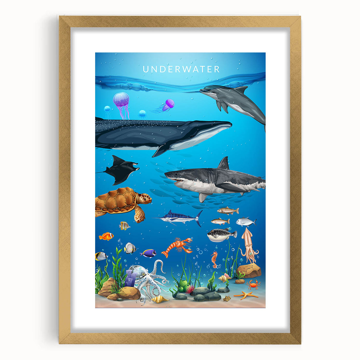 Underwater Marine Life Educational Wall Art - Kids' Learning Poster