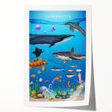 Underwater Marine Life Educational Wall Art - Kids' Learning Poster