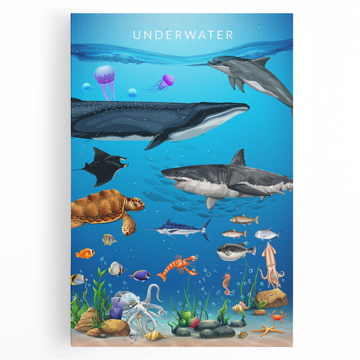 Underwater Marine Life Educational Wall Art - Kids' Learning Poster
