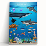 Underwater Marine Life Educational Wall Art - Kids' Learning Poster
