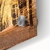 Large abstract wall art in warm autumn hues on acrylic glass, ideal for dining room art in a mid-century modernist style.