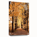 Large abstract wall art on acrylic glass depicting fall scenes in warm orange and brown tones.