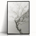 Modern Tree Sketch - Monochrome Living Room Wall Art on Canvas